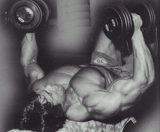 Arnold workout techniques