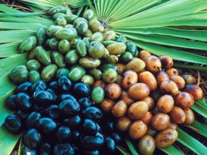 Saw Palmetto Supplement